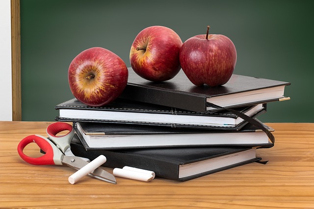 Student Teacher Relationships